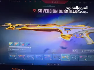  13 حساب فالورانت للبيع