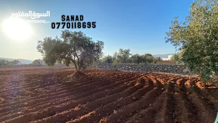  5 قطعه ارض مميزه للبيع منطقه السلط الصبيحي