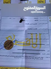  12 هوندا سيفك للبيع