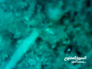  14 كاميرات تصوير   مباشر لكشف جميع الاعطال