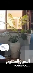  8 مجموعة اغراض للبيع