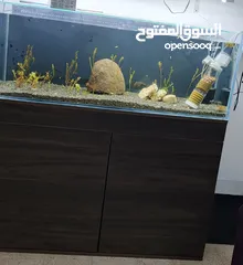  1 حوض فارغ تماما  مع خزانه    السبب البيع بدي اكبر