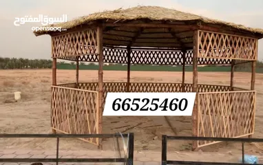  10 arish Kuwait only contact numbr