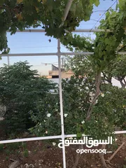  9 عمارة للبيع استثمار مربح