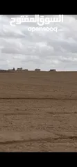  1 ارض مميزة جدا جدا