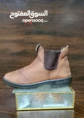  3 شروه احذية 60 جوز اصلي اوروبي منضف معقم جاهز للبيع