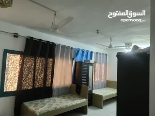  4 Bed Space Available in Sharjah