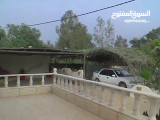  4 بيت للبيع في منطقه الغور