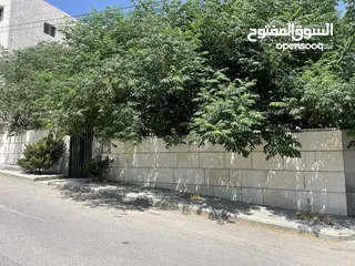  18 منزل للبيع البنيات قريب من شارع الحرية و مدارس الاصالة والمعاصرة