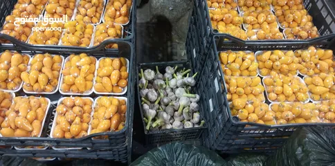  1 محل خضار وفواكه للبيع