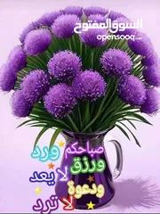  2 قطعه ارضوسياره باجيرو  للبدل على سياره حديثه