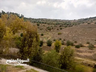  17 مزرعه مع 2 بيت ريفي مخدومه ماء وكهرباء مساحتها 4712