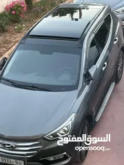  14 سنتافي  فل الفل