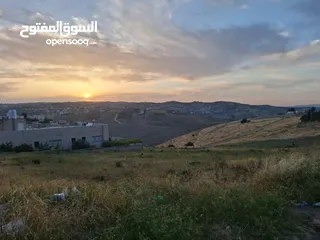  5 أرض سكنية سكن أ للبيع من المالك مباشرة منطقة السرو حوض الجيعة فيها منسوب طابق منطقة فلل وقصور