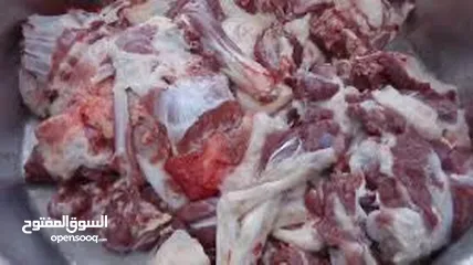  4 بسم الله جذار ذبح جميع الأضاحي خرفان عبور جدي نعاج تيوس