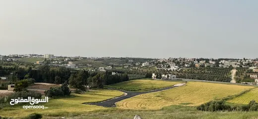  8 ارض سكنية  للبيع طريق المطار بالقرب من فلل جرين لاند بمساحة ( 1801 م ) في ناعور