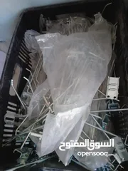  23 اسلام مضيه حلحول