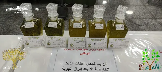  13 زيتون زيت زيتون بكر ممتاز (مزرعة الريان) RaYanFarm Olives & Extra Virgin Olive Oil