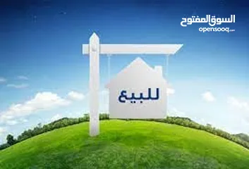  1 ارض في نابلس الجديدة