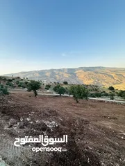  7 أرض مميزه _الصبيحي _ بيوضه الشماليه