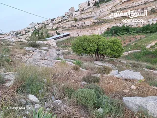  1 قطعة ارض للبيع في مدينة الخليل في منطقة فرش الهوى - بئر عركة