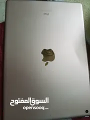  2 ايباد 8 بحاله ممتازه داخل اربد
