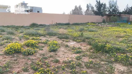  1 ارض للبيع داخل مزرعه سكنيه في نهاية طريق المشتل قبل جامع بئر الاسطى ميلاد