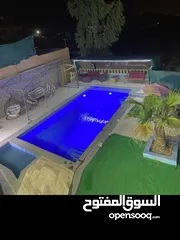  13 شاليه للايجار