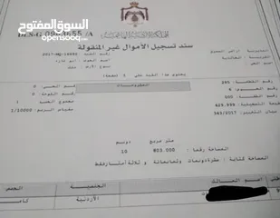  2 ارض للبيع المفرق الخالديه واصل جميع الخدمات 10 دونمات