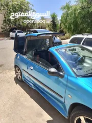  2 بيجو 206 كشف
