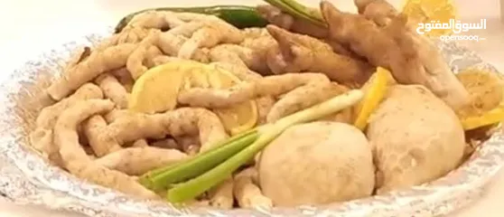  14 كرشات وفوارغ على كيفك كيفك