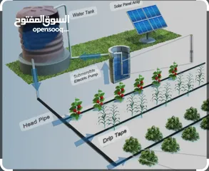  1 دورة في تصميم شبكات الري الحديث