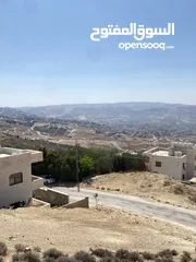  7 ارض مميزه للبيع خلف قصر الاميره بسمه