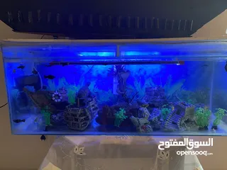  1 حواض سمك للبيع