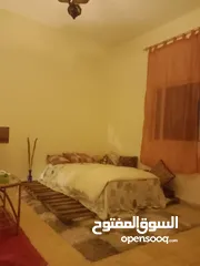  7 غرفة مفروشة في العبدلي