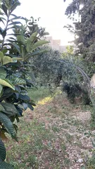  4 عقارات للبيع