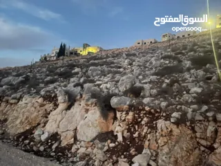  7 ارض للبيع نابلس الجديدة