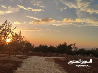  9 أرض 750 م للبيع في ناعور - أبو الغزلان- 5 كم عن كازية السلام
