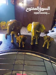  2 فيل عدد 4 نحاس اصفر للبيع