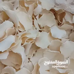  5 ورقة الخثارة کلاونگ