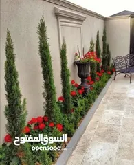  3 تنسيق حدائق