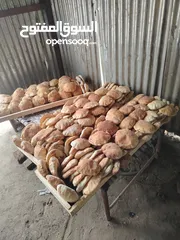  4 خبزه بلدي مطاعم