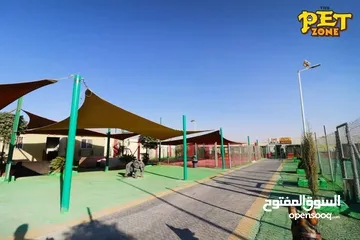  1 احجز لاقامه كلبك وراحته