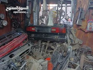  26 قطع بوز نمر
