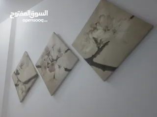  2 لوحات مستعمل للبيع