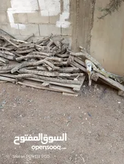  11 تشكيلة حطب للبيع