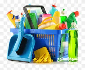  1 House Cleaning Services