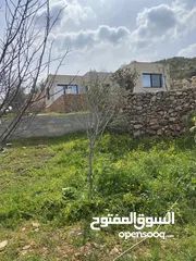  15 بيت ريفي مع مزرعة