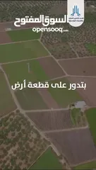  2 رقم الإعلان : 646 ارض صناعي للبيع في الرقيم  اسم الحوض : أبو صوانه ( 3) مساحة الأرض:2068 متر مربع
