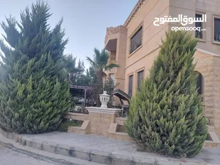  1 للبيع فيلا شبه قصر في اجمل مواقع دابوق الهادئه 1050 م